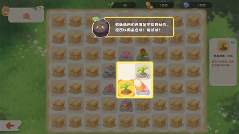 碳碳岛[图5]