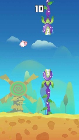 飞猪大逃亡[图1]