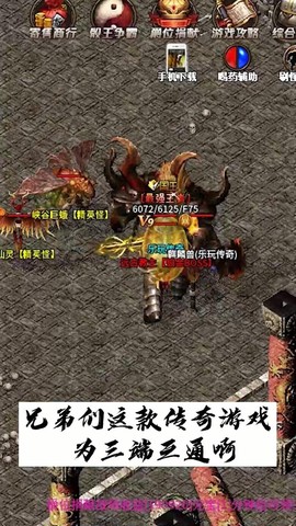 乐玩传奇截图3