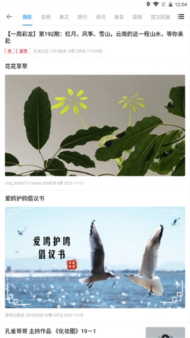彩龙社区[图7]
