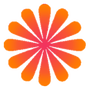菊花影视