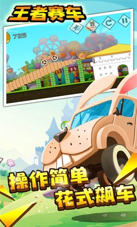 王者赛车手[图1]