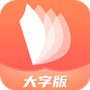 大字随时阅读