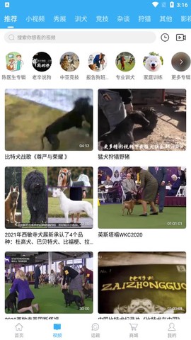 猛犬俱乐部截图3