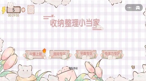 收纳整理小当家截图2