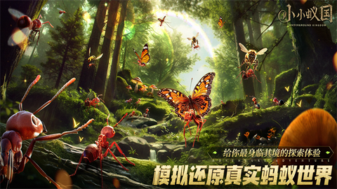 蚂蚁：地下王国截图3