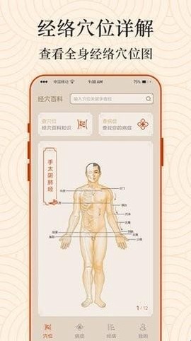 Ai经络穴位图[图1]