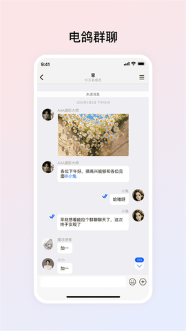 电鸽截图1