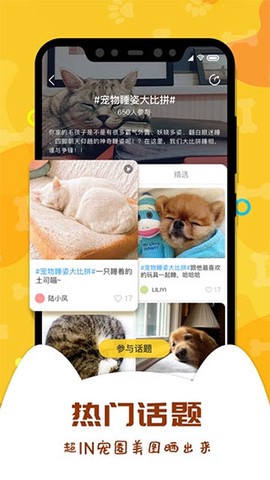 爱宠大陆截图1