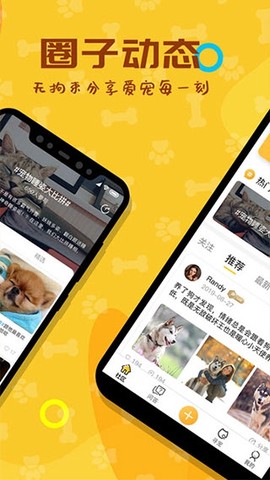 爱宠大陆截图2