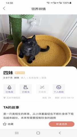 猫先生[图1]
