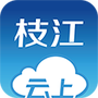 云上枝江