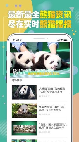 熊猫频道[图1]