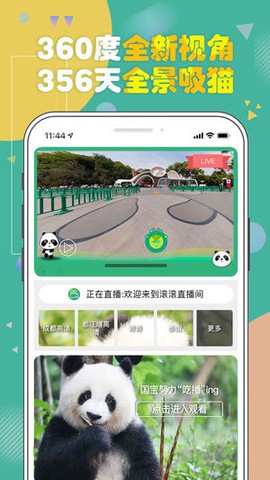 熊猫频道截图3