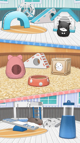 仓鼠生活图1