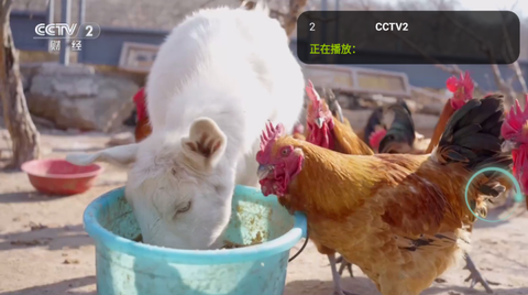 橙子电视[图3]