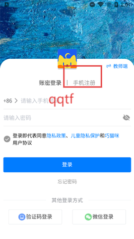 巧猫咪英语[图4]