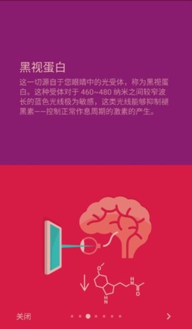 薄暮微光[图2]