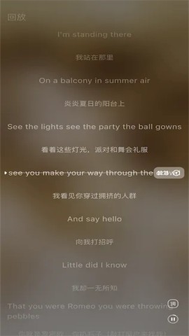 森林视频截图3