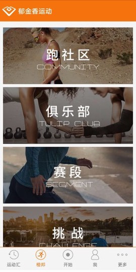 郁金香运动[图1]
