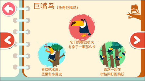宝宝鸟类认知[图5]