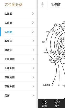 中药大全截图3