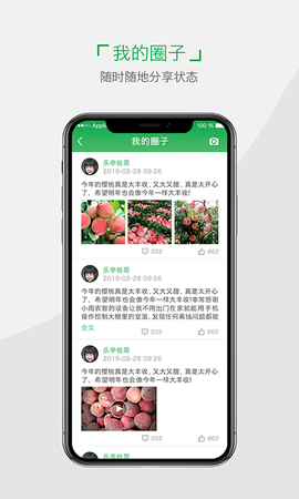 小雨农智[图1]