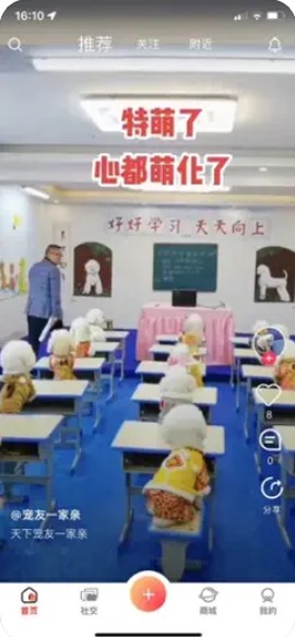 宠友社交截图2