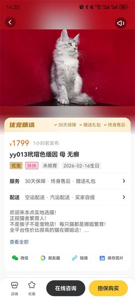 买只宠物[图1]