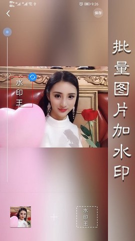水印王[图1]