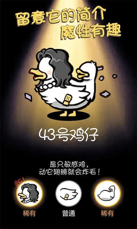 小鸡真奇怪截图3