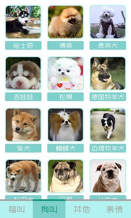 猫叫声狗叫声模拟截图1