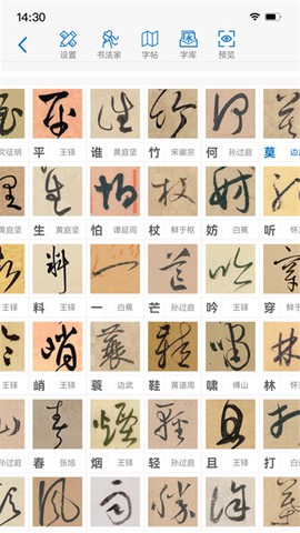 以观书法截图3