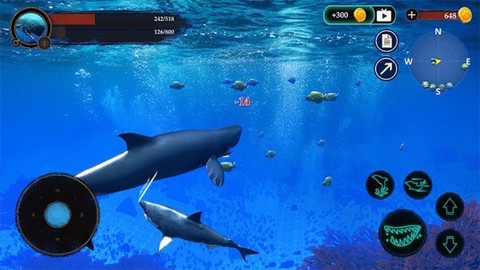 抹香鲸模拟器截图3