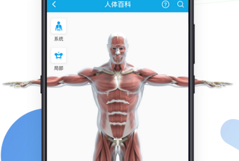 数字人体[图1]