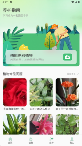 猫满花语[图3]