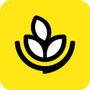 燕麦烘焙