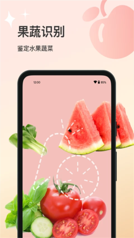 花卉识别截图1