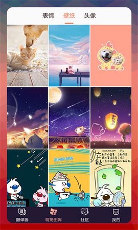 猫语翻译器[图1]
