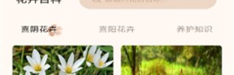 花助理[图1]