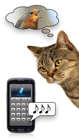 人猫交流器纯净版截图3