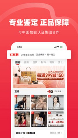 红布林截图2