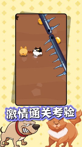 猫狗大乱斗图3