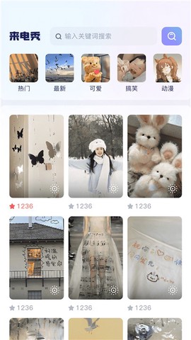 时光小组件鸭截图3