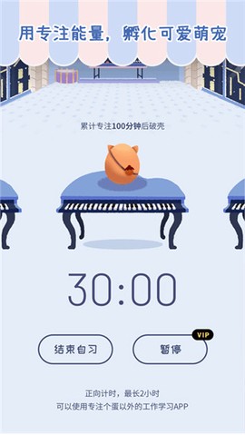 专注崽崽截图3