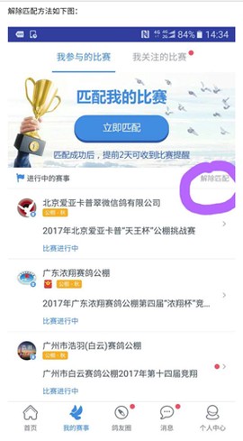 咕咕信鸽截图3