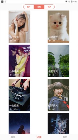 颜图社[图5]
