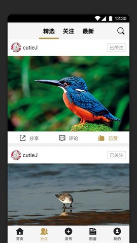 识鸟家[图1]