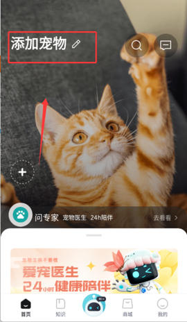 海看爱宠[图2]