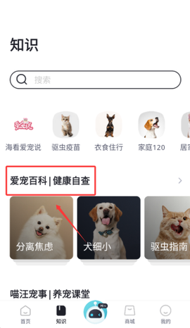 海看爱宠[图3]